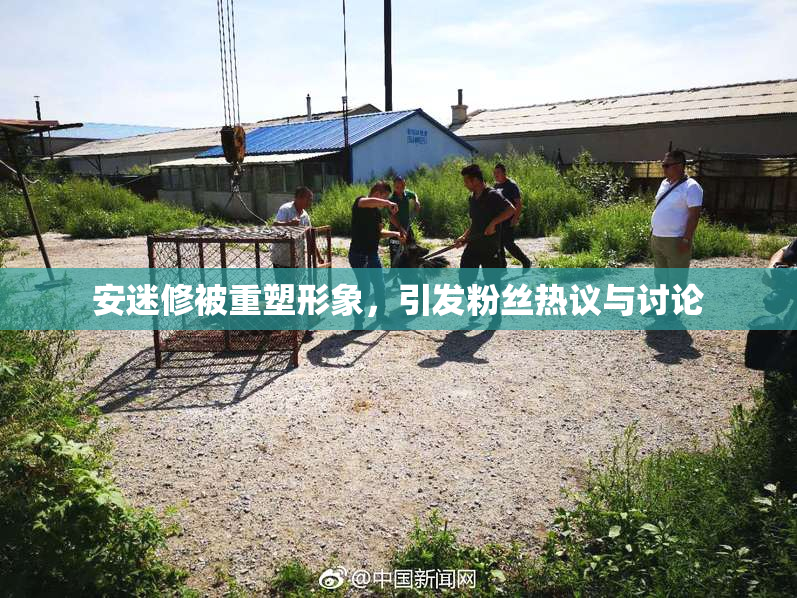安迷修被重塑形象，引发粉丝热议与讨论