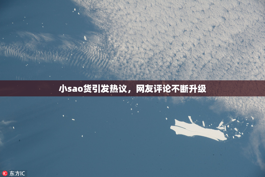 小sao货引发热议，网友评论不断升级