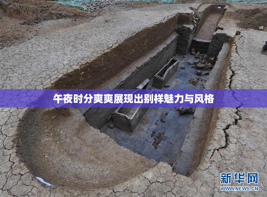 午夜时分爽爽展现出别样魅力与风格