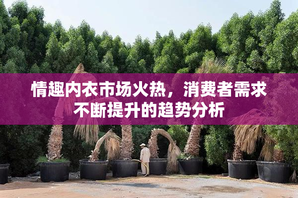 情趣内衣市场火热，消费者需求不断提升的趋势分析