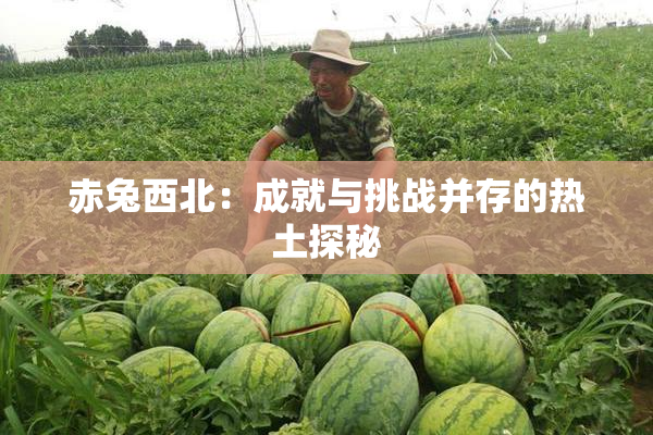 赤兔西北：成就与挑战并存的热土探秘