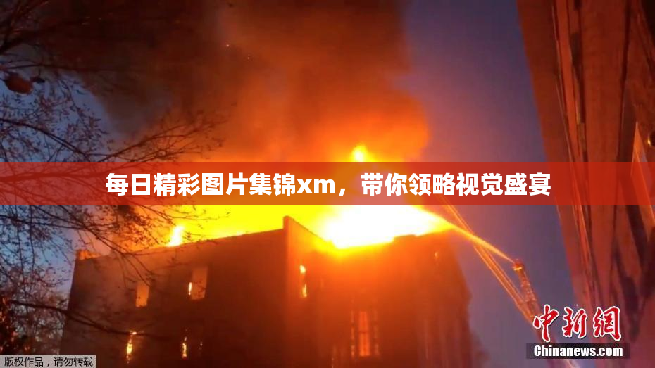 每日精彩图片集锦xm，带你领略视觉盛宴