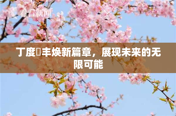 丁度巜丰焕新篇章，展现未来的无限可能