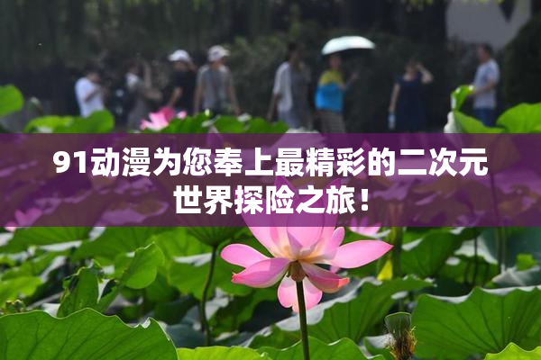 91动漫为您奉上最精彩的二次元世界探险之旅！