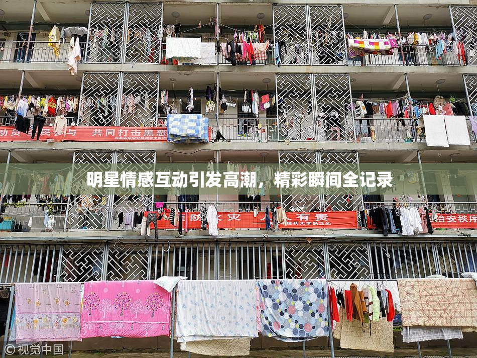 明星情感互动引发高潮，精彩瞬间全记录