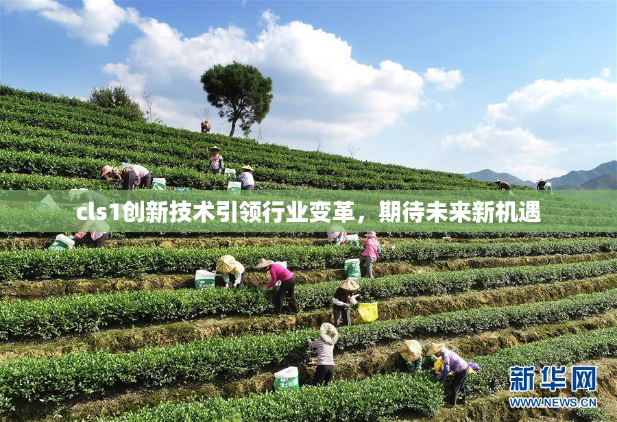 cls1创新技术引领行业变革，期待未来新机遇
