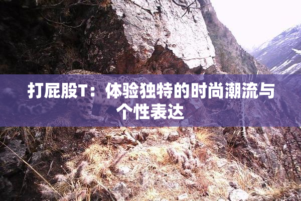 打屁股T：体验独特的时尚潮流与个性表达