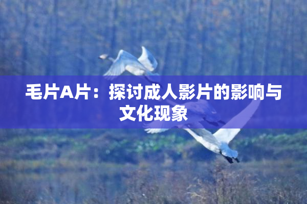 毛片A片：探讨成人影片的影响与文化现象