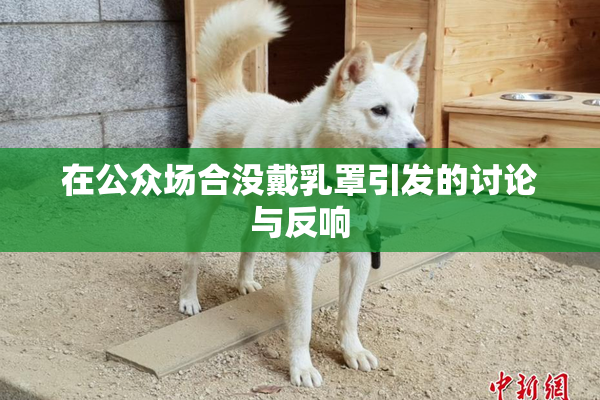 在公众场合没戴乳罩引发的讨论与反响