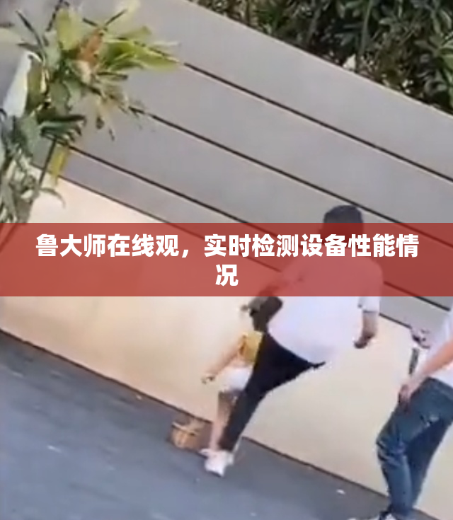 鲁大师在线观，实时检测设备性能情况