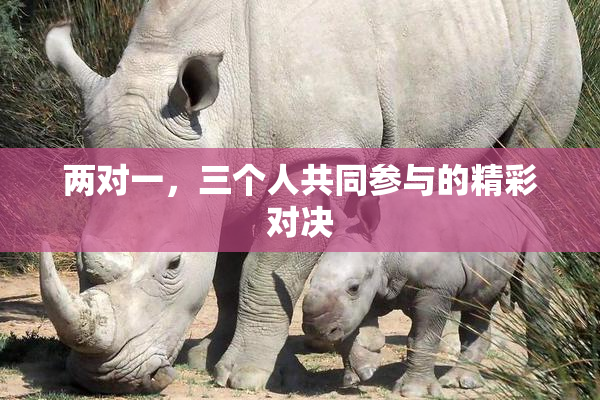 两对一，三个人共同参与的精彩对决