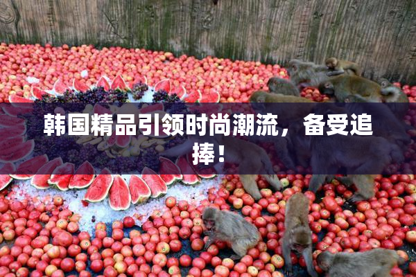 韩国精品引领时尚潮流，备受追捧！