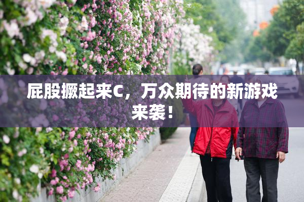 屁股撅起来C，万众期待的新游戏来袭！