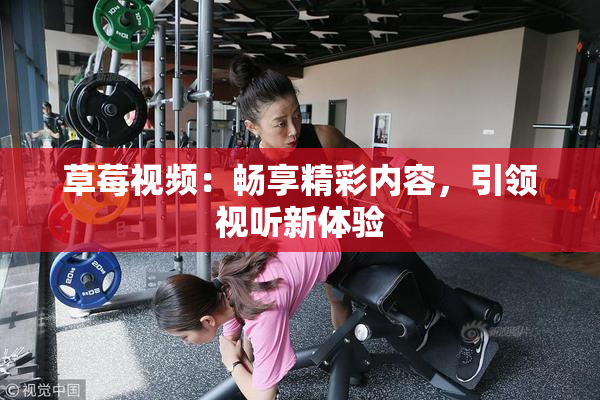 草莓视频：畅享精彩内容，引领视听新体验