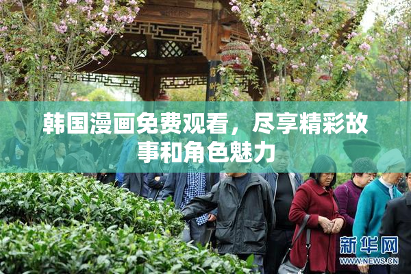 韩国漫画免费观看，尽享精彩故事和角色魅力