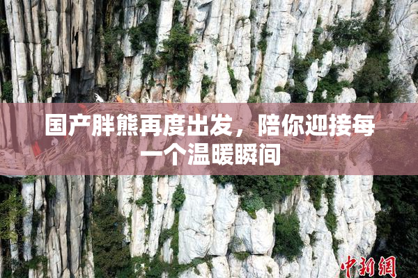 国产胖熊再度出发，陪你迎接每一个温暖瞬间