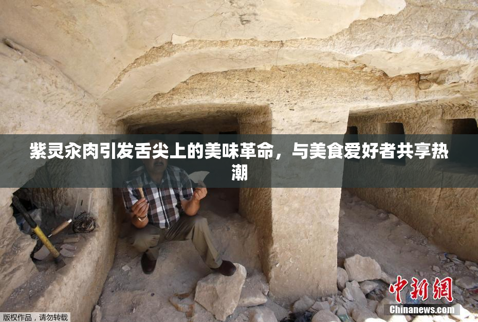 紫灵汆肉引发舌尖上的美味革命，与美食爱好者共享热潮