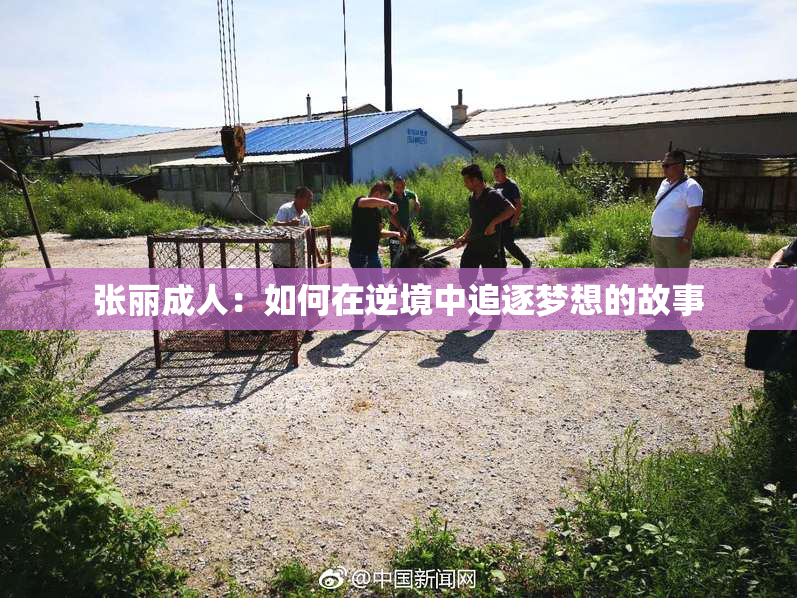 张丽成人：如何在逆境中追逐梦想的故事