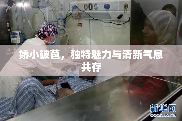 娇小破苞，独特魅力与清新气息共存