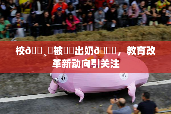 校🌸‌被❌‌出奶🔞，教育改革新动向引关注
