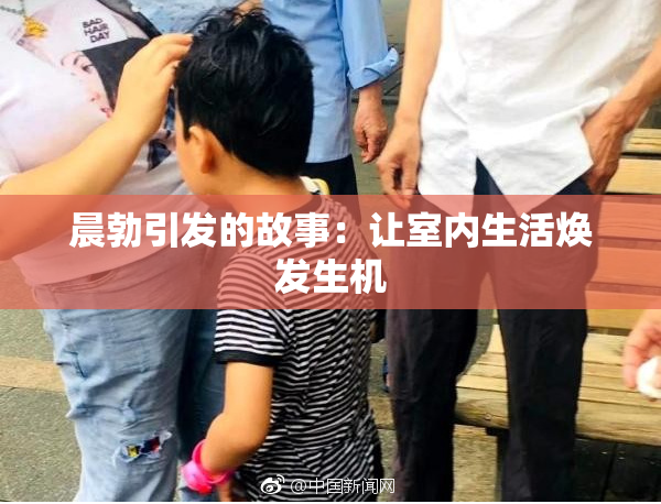 晨勃引发的故事：让室内生活焕发生机