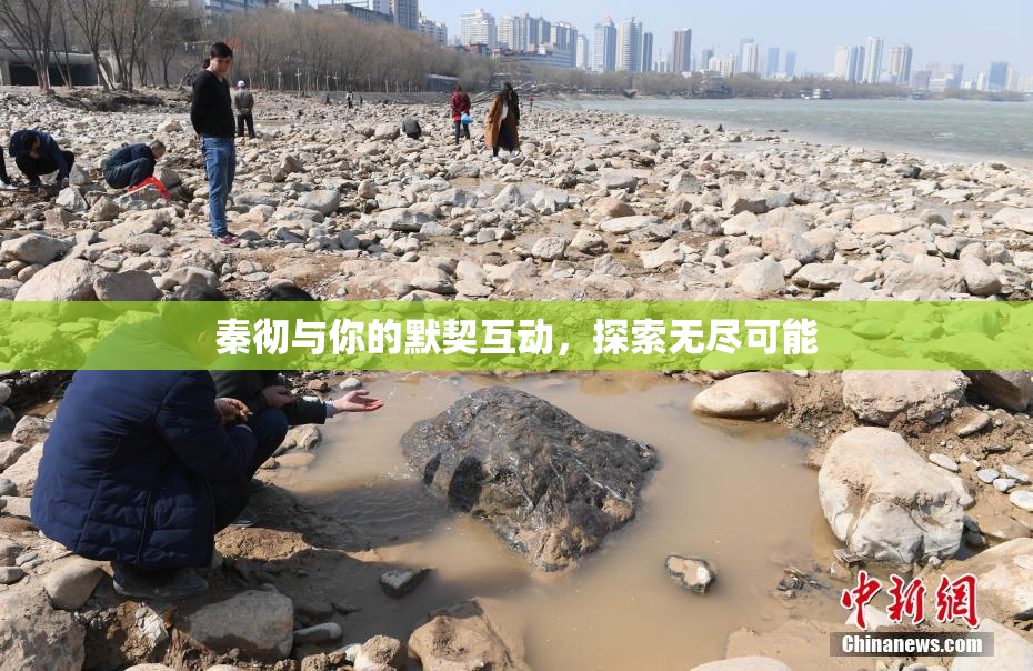 秦彻与你的默契互动，探索无尽可能