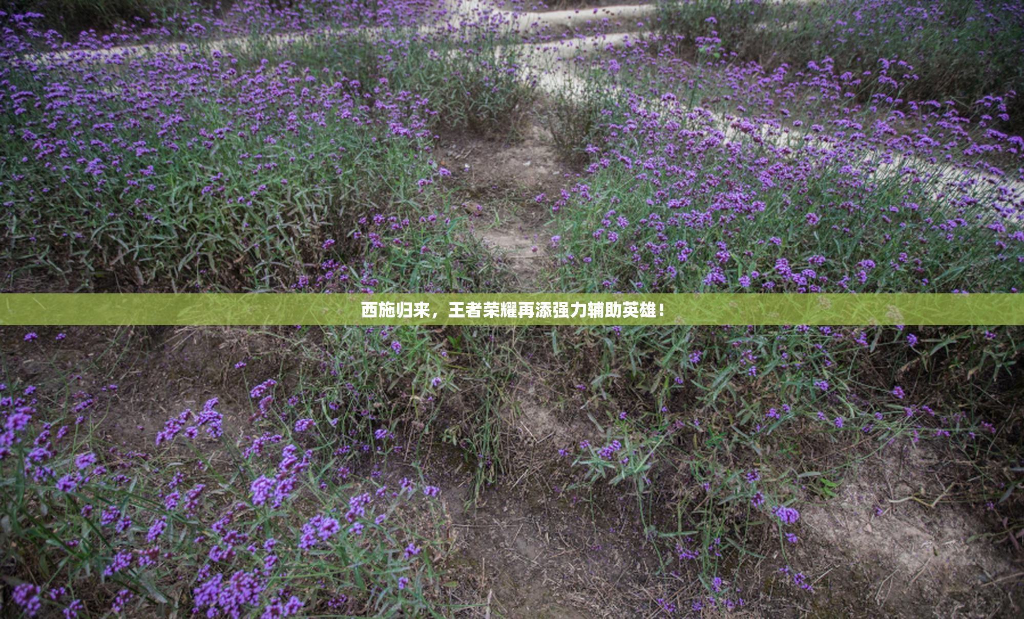西施归来，王者荣耀再添强力辅助英雄！