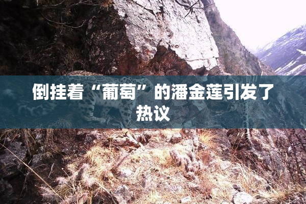 倒挂着“葡萄”的潘金莲引发了热议