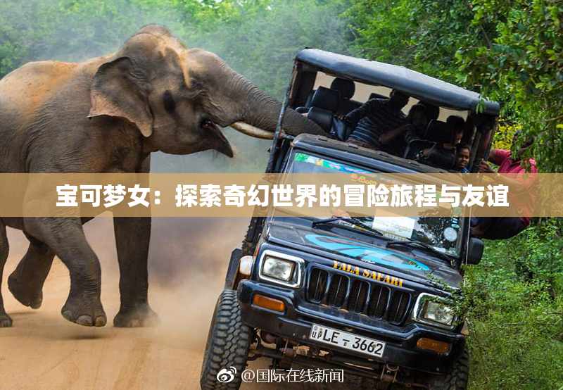 宝可梦女：探索奇幻世界的冒险旅程与友谊