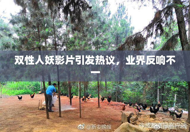 双性人妖影片引发热议，业界反响不一