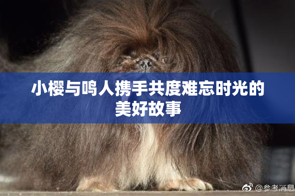 小樱与鸣人携手共度难忘时光的美好故事