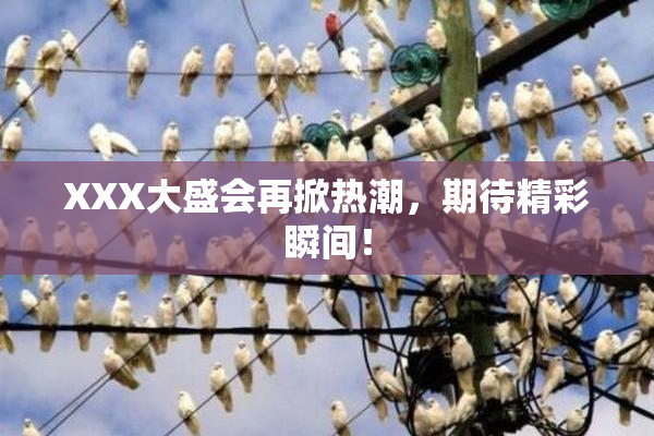 XXX大盛会再掀热潮，期待精彩瞬间！