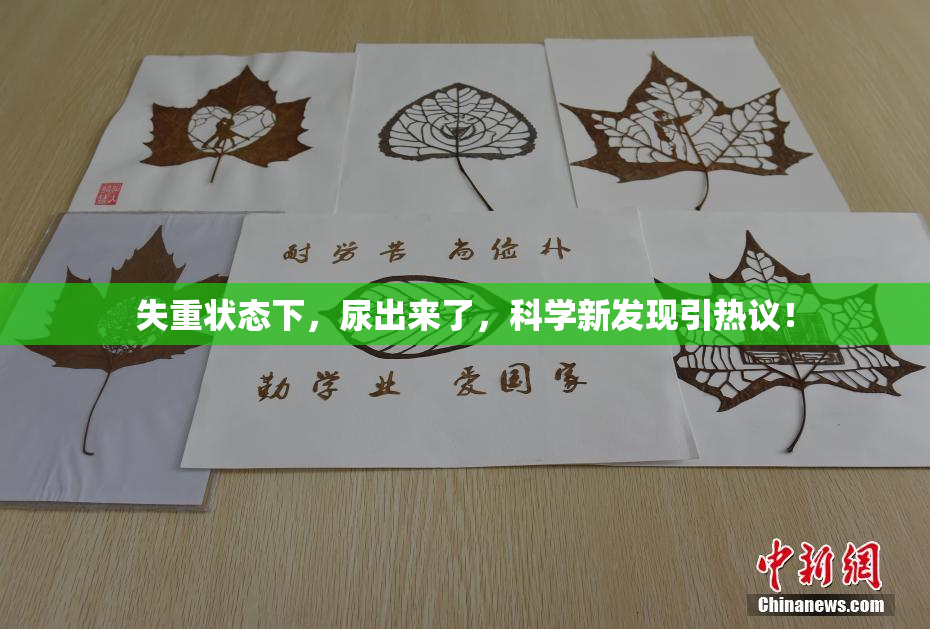 失重状态下，尿出来了，科学新发现引热议！