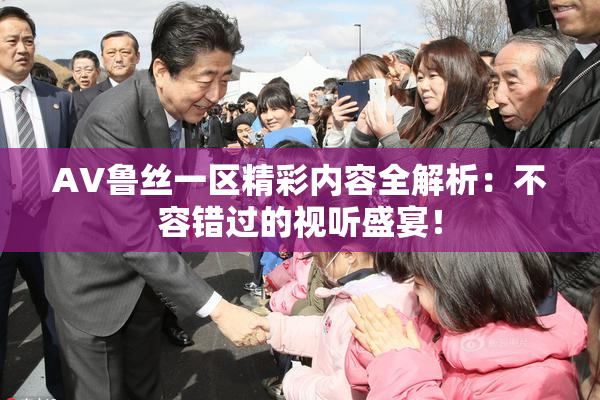 AV鲁丝一区精彩内容全解析：不容错过的视听盛宴！