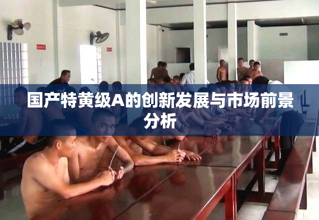 国产特黄级A的创新发展与市场前景分析
