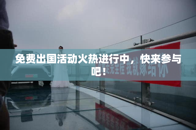 免费出国活动火热进行中，快来参与吧！