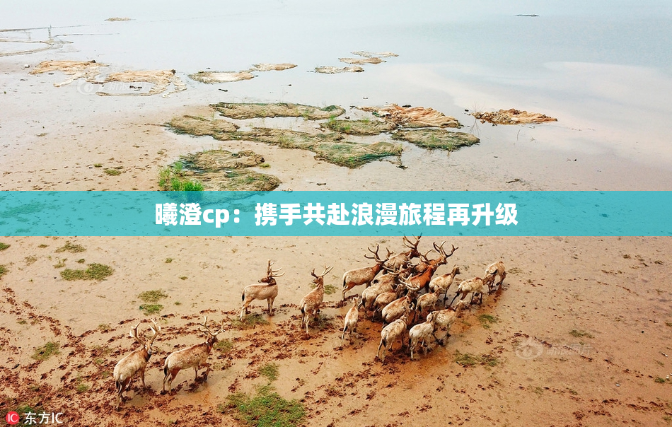 曦澄cp：携手共赴浪漫旅程再升级