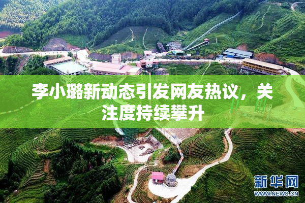 李小璐新动态引发网友热议，关注度持续攀升