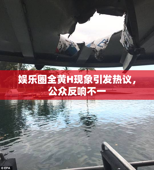 娱乐圈全黄H现象引发热议，公众反响不一