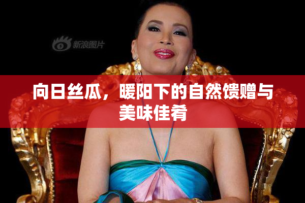 向日丝瓜，暖阳下的自然馈赠与美味佳肴