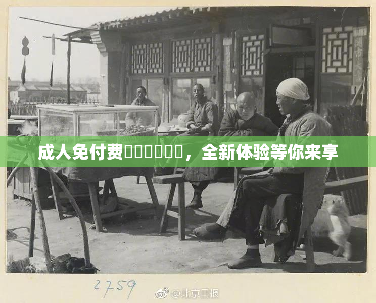 成人免付费❌‌❌‌❌‌，全新体验等你来享