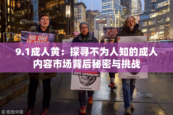 9.1成人黄：探寻不为人知的成人内容市场背后秘密与挑战