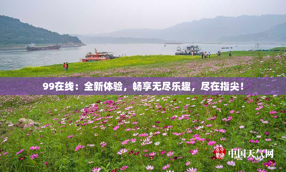 99在线：全新体验，畅享无尽乐趣，尽在指尖！