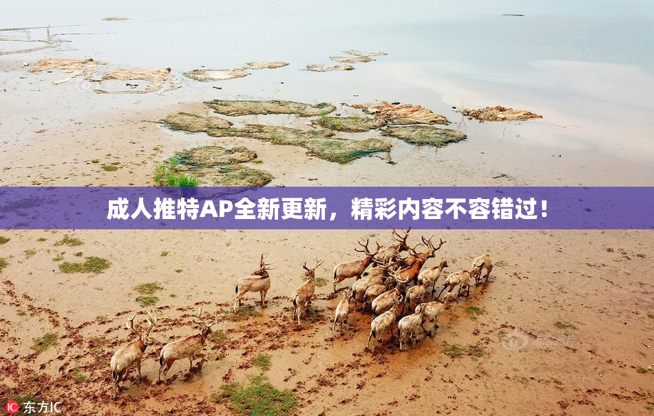 成人推特AP全新更新，精彩内容不容错过！