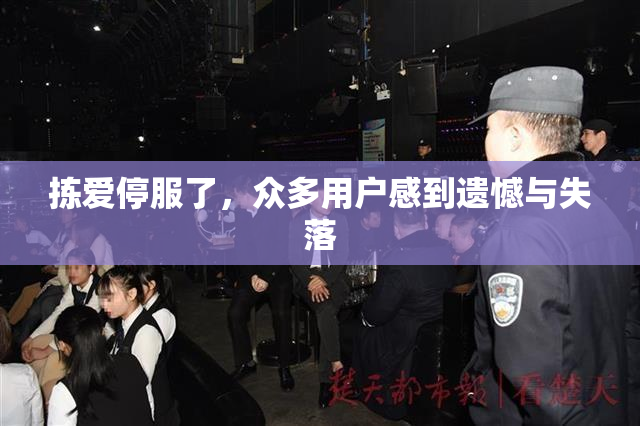 拣爱停服了，众多用户感到遗憾与失落