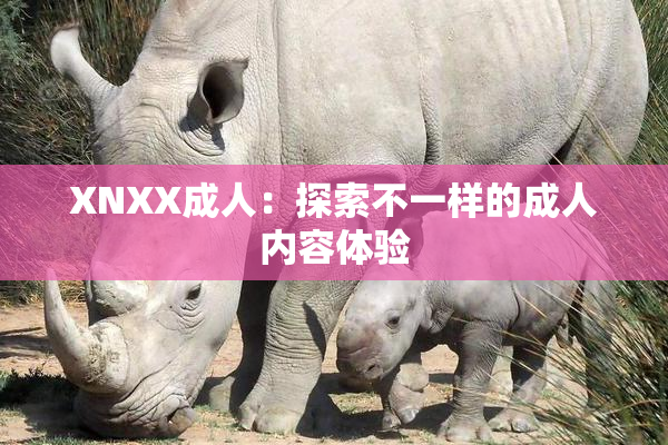XNXX成人：探索不一样的成人内容体验
