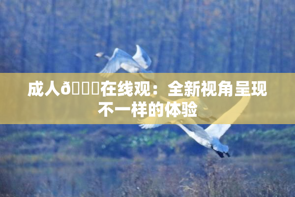 成人🔞在线观：全新视角呈现不一样的体验