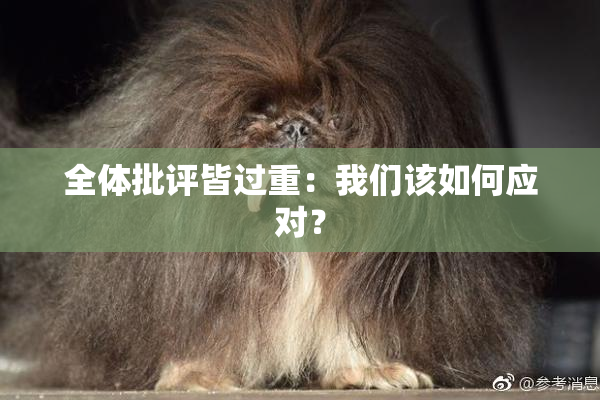 全体批评皆过重：我们该如何应对？