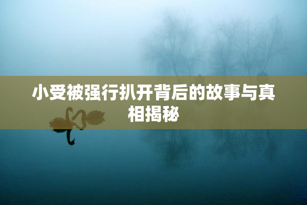 小受被强行扒开背后的故事与真相揭秘
