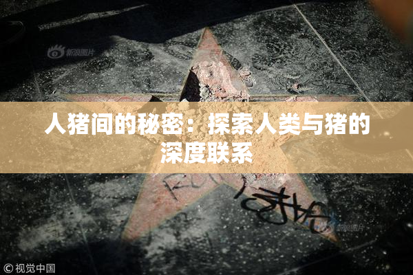 人猪间的秘密：探索人类与猪的深度联系